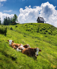 Zajamniki pastures in the Julian Alps