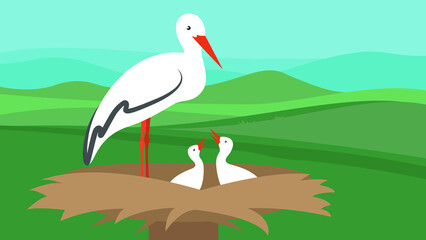 Stork feeding her chicks in the nest © Volodymyr