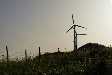 Obraz premium wind turbines against the sunlight