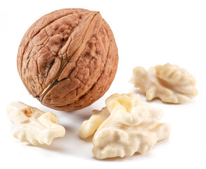 Walnut and walnut kernel isolated on white background.