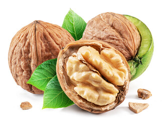 Whole walnut and walnut kernel with leaves isolated on white background.