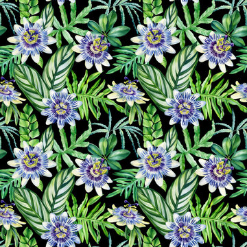 Tropical plants watercolor, passionflower flowers, palm leaf hand drawing. Floral seamless pattern