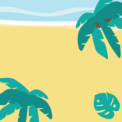 Fototapeta na wymiar Summer background with coconut tree, palm, on the beach