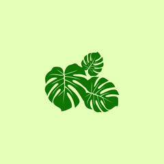 Monstera Leaf Logo Design, Leaves Monstera, Monstera Vector