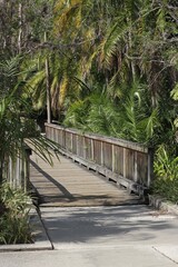 wooden bridge in the park