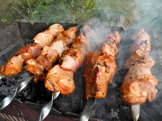 Pork skewers on grill with coals, cooking process. Weekend picnic.	  