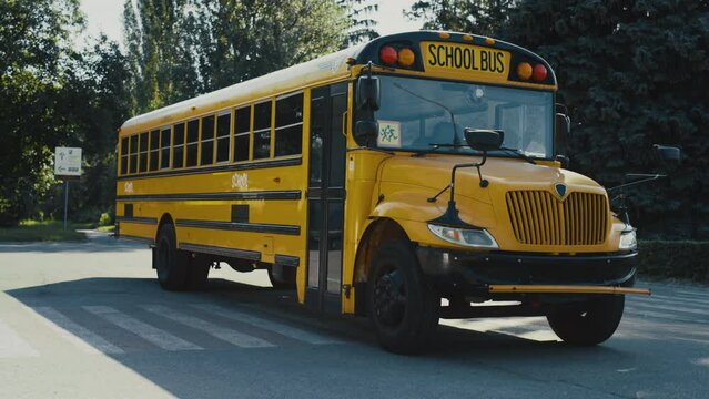 Empty yellow school bus standing on parking lot surrounded greenery sunny day.