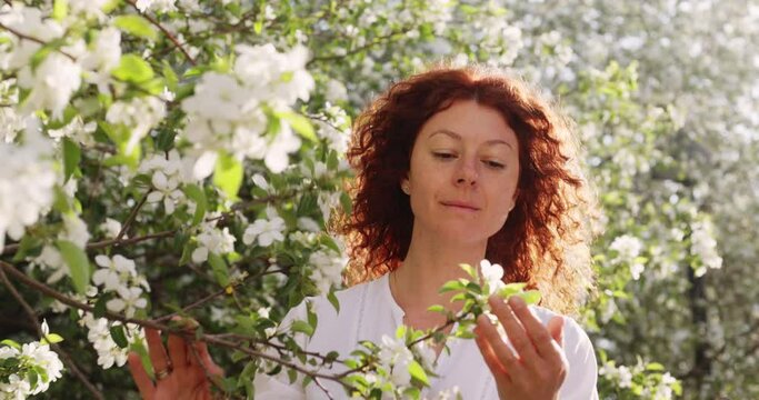 A red-haired woman in a white dress tenderly looks at the blossoming of an apple tree