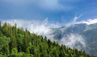 Landscape with steam above the forest after rain