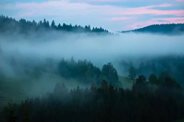 Fototapete Wald im Nebel Landscape with fog over the forest in the evening