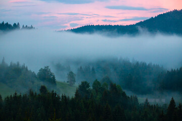 Naklejka na ściany i meble Landscape with fog over the forest in the evening