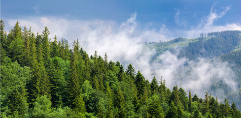 Landscape with steam rising from the mountains