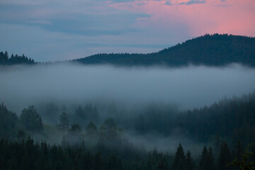 Fototapeta na wymiar Landscape with fog over the forest in the evening