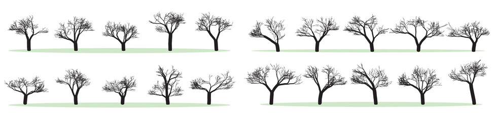 Set of Vector Trees iSilhouettes, Black and White, Without Leaves
