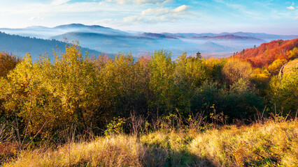 Fototapeta premium mountainous countryside in autumn at sunrise. wonderful sunny nature scenery with fog in rural valley. gorgeous landscape observed from the top of a hill with trees in colorful foliage