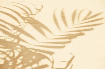 Blurred shadows from natural palm leaves on a light wood texture in beige colors.