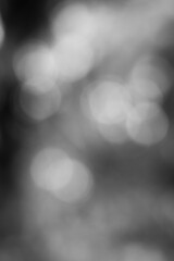 abstract bokeh background in black and white