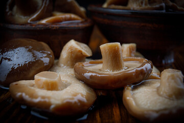 Pickled mushrooms in clay cups stand on a wooden table . Salted mushrooms .