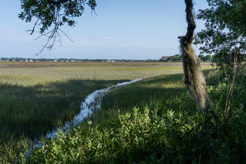 High tide