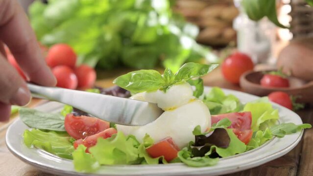 Salad with Tomatoes, Burrata, basil,olive oil. middle name Burratina. Traditional cheese from the south of Italy in the Puglia region. Round soft cheese inside liquid stracciatella texture.4k 