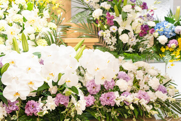 冠婚葬祭　季節のお花の壁紙