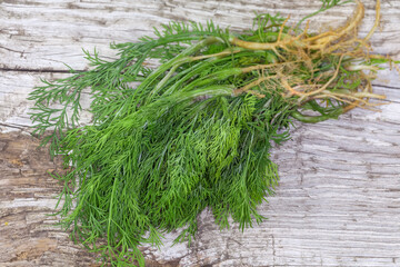 Bunch of young dill on old wooden surface close-up