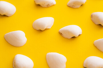 Close up view of white seashells on yellow background.