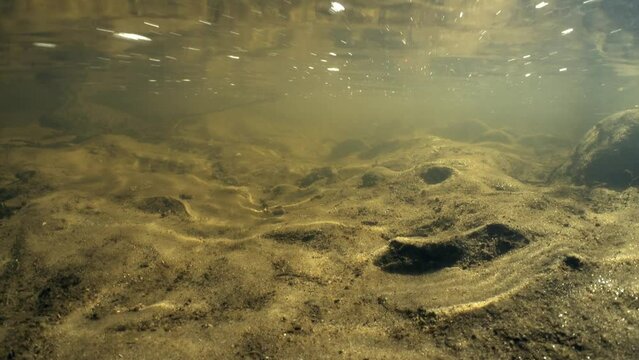 Underwater footage of small creek with beautifully reflecting surface and mezmerizing sunlight.