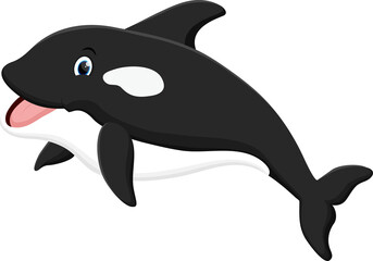 Cute killer whale cartoon isolated on white background