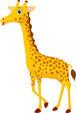 Cute giraffe cartoon isolated on white background