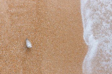 Seagull looking over a incoming wave