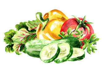 Fresh vegetables. Cherry tomatoes with cucumber, bell pepper paprica and greenery. Hand drawn watercolor illustration, isolated on white background