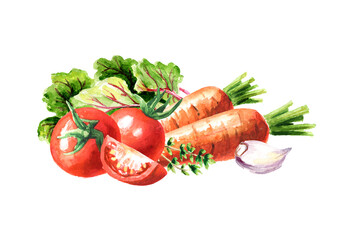 Fresh vegetables. Hand drawn watercolor illustration, isolated on white background