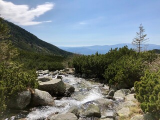 Obraz premium High Tatras in summer time