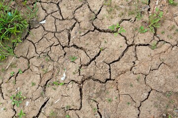 Dried cracked dirt on the construction site