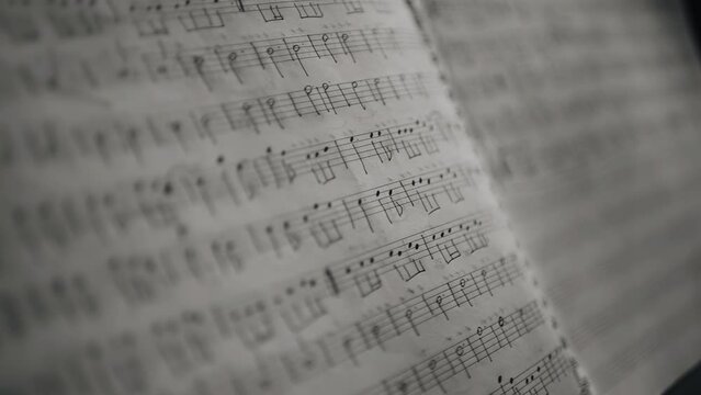 A notebook with musical notes stands on a music stand on the stage. The musician will perform the piece by reading the notes