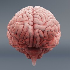 Realistic 3D Render of Human Brain