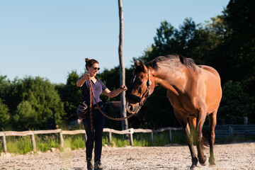 Horse training on lunge in the paddock. with female trainer. Natural horsemanship. - obrazy, fototapety, plakaty
