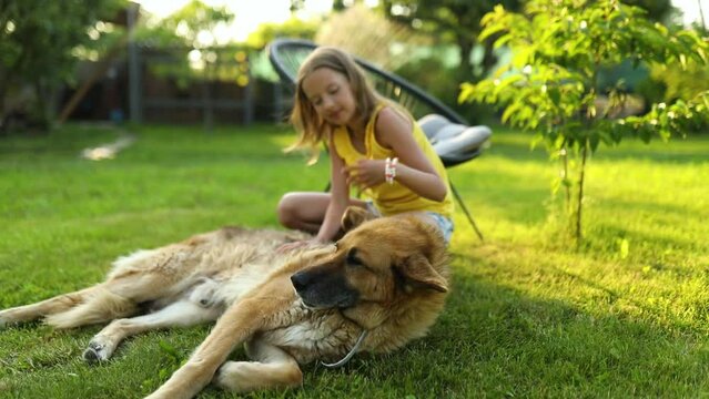 Cute girl and old dog enjoy summer day on the grass in the park. Child and animals on the backyard at home, happy. Love pets.