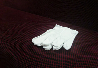 Freemason's White Craft Gloves