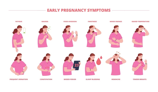 pregnancy symptoms chart
