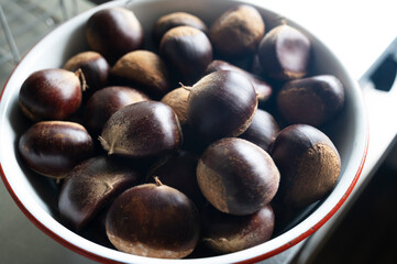 fresh chestnut 新鮮な栗 