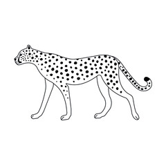 Fototapeta premium Vector flat hand drawn cheetah isolated on white background