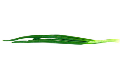 Obraz na płótnie Canvas Fresh Green onion isolated on white background