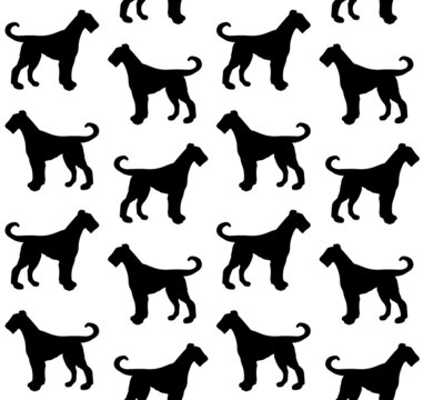 Vector seamless pattern of hand drawn welsh terrier dog silhouette isolated on white background