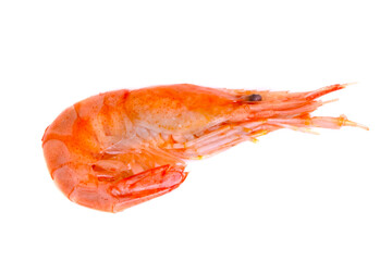 Red cooked prawn or shrimp isolated on white background