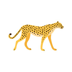 Vector flat hand drawn cheetah isolated on white background