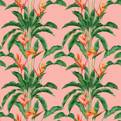 watercolor painting bird of paradise blooming flowers,colorful seamless pattern dark background.Watercolor hand drawn green leaves illustration tree tropical exotic leaf for wallpaper textile summer.