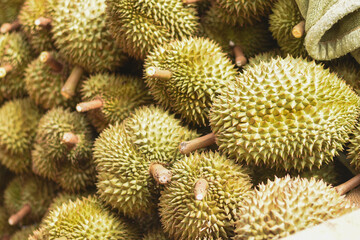 Naklejka na ściany i meble Durian fruit for sale to buyers in the Thai fruit market Durian is known as the fruit king of Thailand.