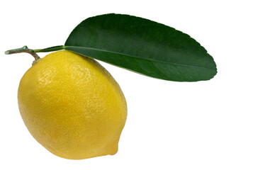 Lemon. One whole lemon isolated on white background